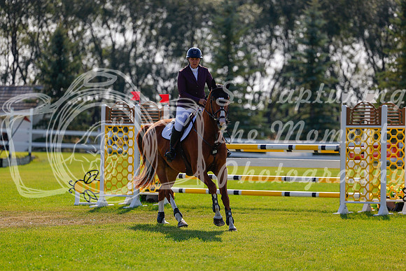 2025 - Haylee - Harvest Horse Show - Sunday, September 14th 07758