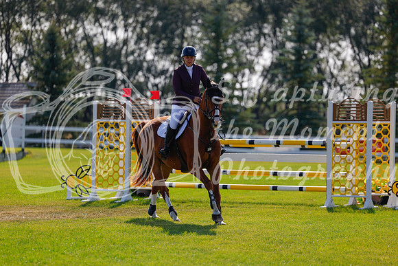 2025 - Haylee - Harvest Horse Show - Sunday, September 14th 07759