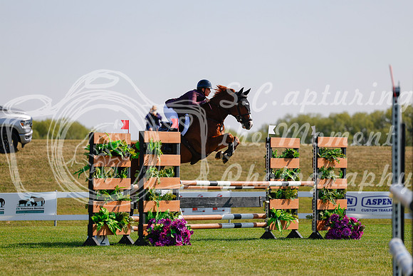 2025 - Haylee - Harvest Horse Show - Sunday, September 14th 07771