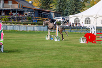 2025 - Shea - Fall Finale - Sunday September 14th - 10058