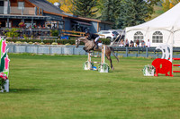 2025 - Shea - Fall Finale - Sunday September 14th - 10059