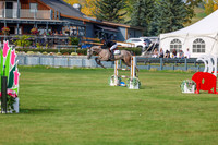 2025 - Shea - Fall Finale - Sunday September 14th - 10062