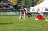 2025 - Shea - Fall Finale - Sunday September 14th - 11798