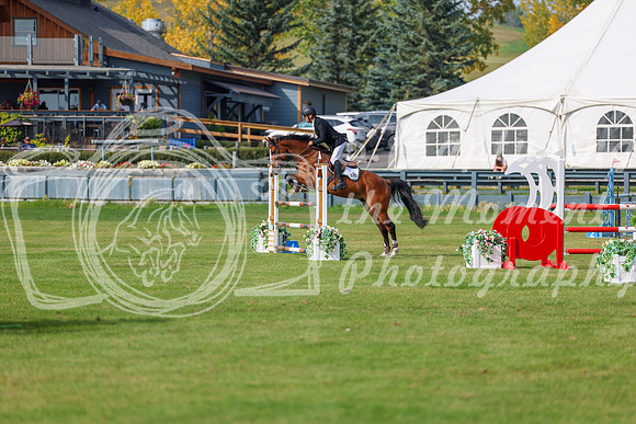 2025 - Shea - Fall Finale - Sunday September 14th - 11798