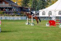 2025 - Shea - Fall Finale - Sunday September 14th - 11799