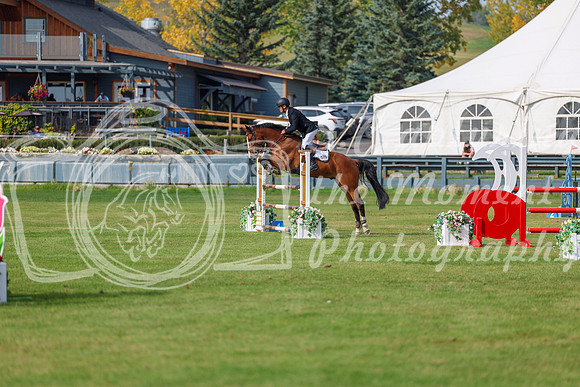 2025 - Shea - Fall Finale - Sunday September 14th - 11799