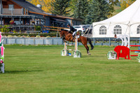 2025 - Shea - Fall Finale - Sunday September 14th - 11800