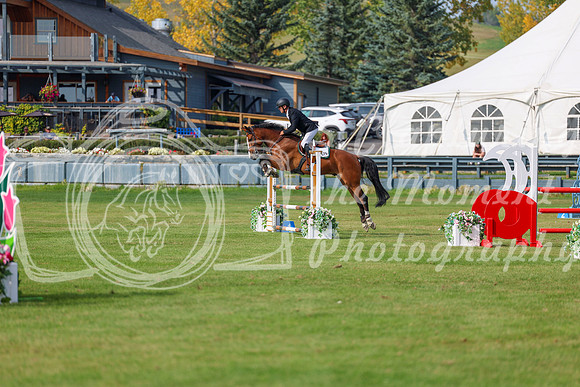 2025 - Shea - Fall Finale - Sunday September 14th - 11800