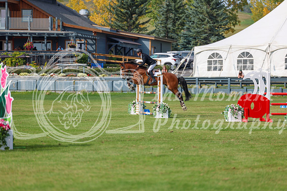 2025 - Shea - Fall Finale - Sunday September 14th - 11801