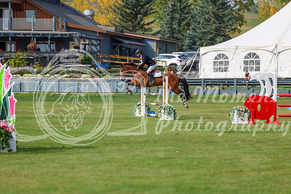 2025 - Shea - Fall Finale - Sunday September 14th - 11802
