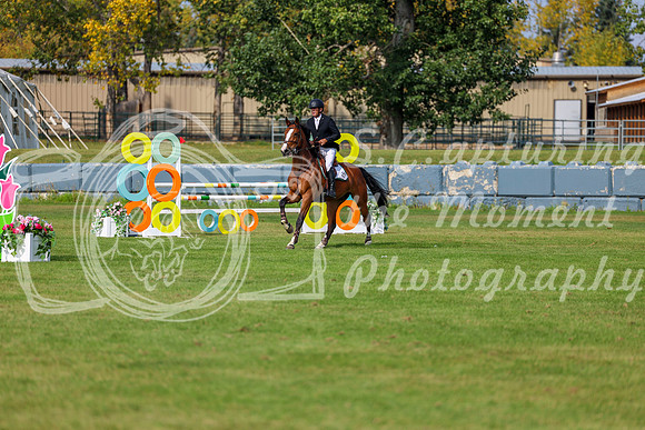 2025 - Shea - Fall Finale - Sunday September 14th - 11803