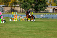 2025 - Shea - Fall Finale - Sunday September 14th - 11804