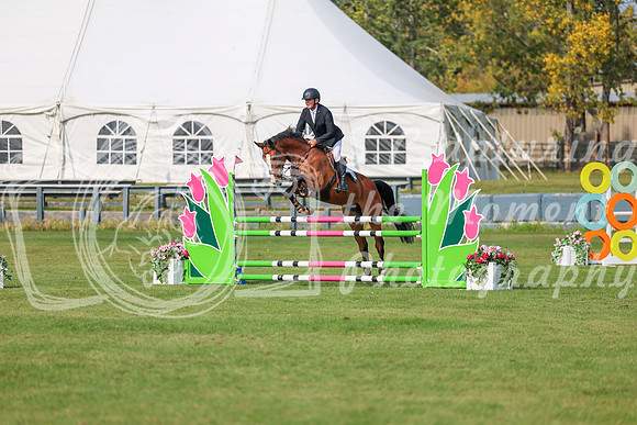 2025 - Shea - Fall Finale - Sunday September 14th - 11807