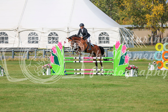 2025 - Shea - Fall Finale - Sunday September 14th - 11808