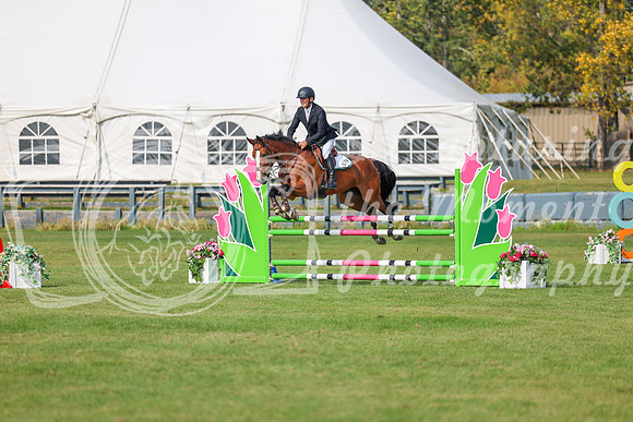 2025 - Shea - Fall Finale - Sunday September 14th - 11811
