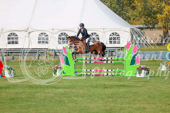 2025 - Shea - Fall Finale - Sunday September 14th - 11812