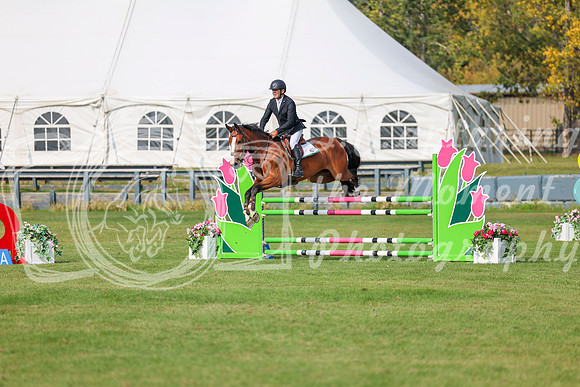 2025 - Shea - Fall Finale - Sunday September 14th - 11813