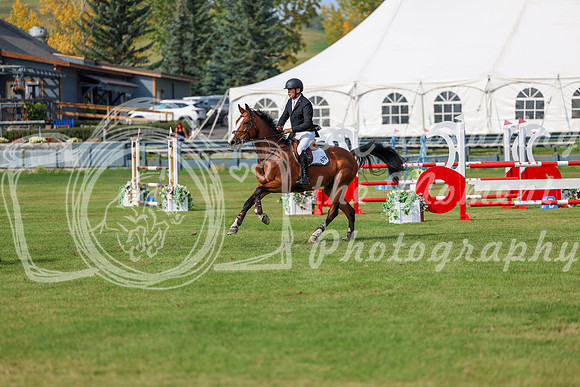 2025 - Shea - Fall Finale - Sunday September 14th - 11814
