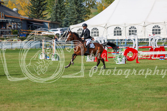 2025 - Shea - Fall Finale - Sunday September 14th - 11815