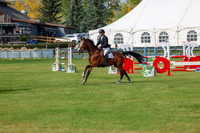 2025 - Shea - Fall Finale - Sunday September 14th - 11816