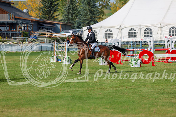 2025 - Shea - Fall Finale - Sunday September 14th - 11817