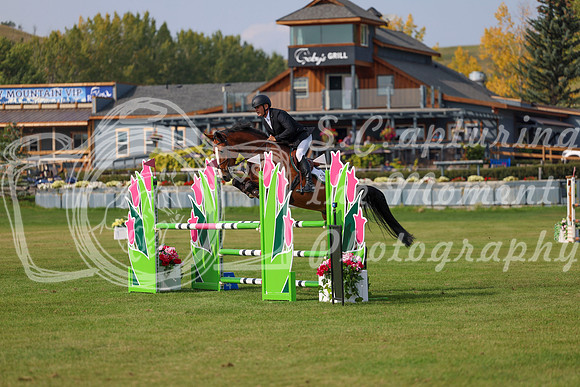 2025 - Shea - Fall Finale - Sunday September 14th - 11818