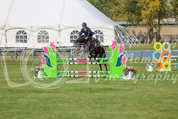 2025 - Shea - Fall Finale - Sunday September 14th - 10349