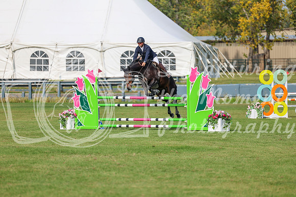 2025 - Shea - Fall Finale - Sunday September 14th - 10350