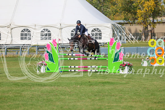 2025 - Shea - Fall Finale - Sunday September 14th - 10352