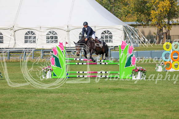 2025 - Shea - Fall Finale - Sunday September 14th - 10353