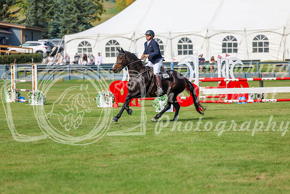 2025 - Shea - Fall Finale - Sunday September 14th - 10357