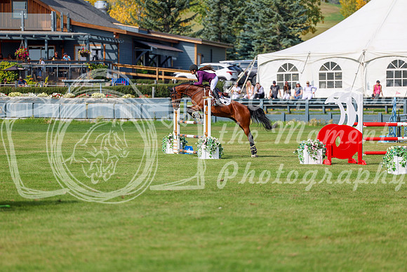 2025 - Shea - Fall Finale - Sunday September 14th - 10435