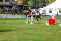 2025 - Shea - Fall Finale - Sunday September 14th - 10436