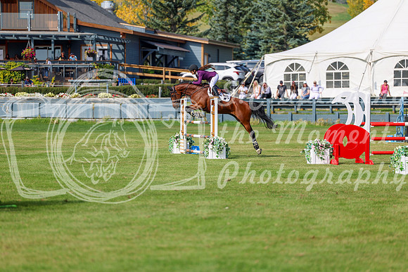 2025 - Shea - Fall Finale - Sunday September 14th - 10436