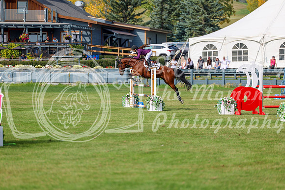 2025 - Shea - Fall Finale - Sunday September 14th - 10437