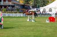 2025 - Shea - Fall Finale - Sunday September 14th - 10440