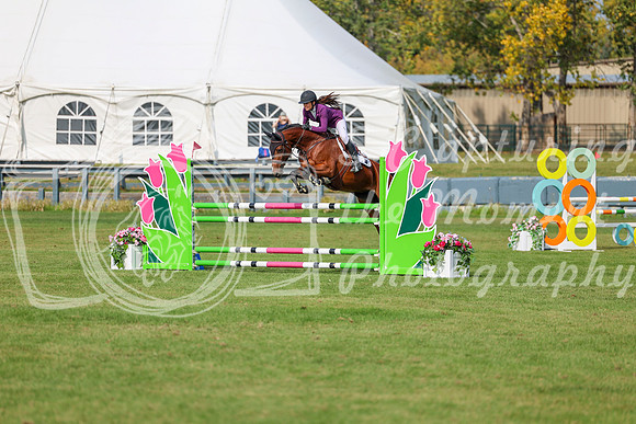 2025 - Shea - Fall Finale - Sunday September 14th - 10441