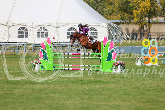 2025 - Shea - Fall Finale - Sunday September 14th - 10442