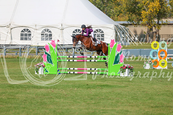2025 - Shea - Fall Finale - Sunday September 14th - 10443