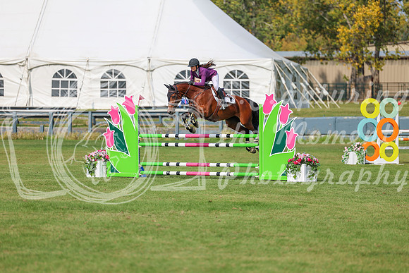 2025 - Shea - Fall Finale - Sunday September 14th - 10444