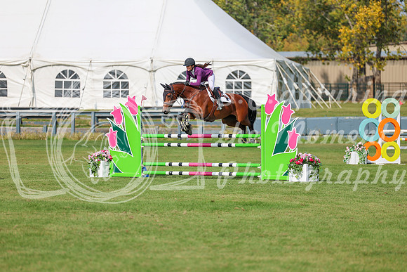 2025 - Shea - Fall Finale - Sunday September 14th - 10445