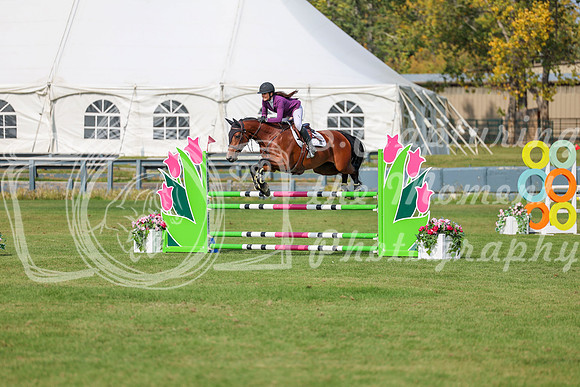 2025 - Shea - Fall Finale - Sunday September 14th - 10446