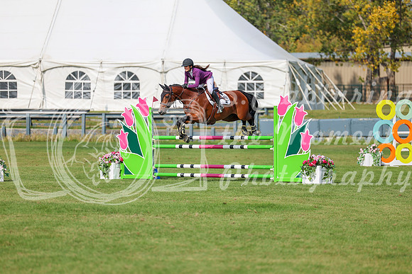 2025 - Shea - Fall Finale - Sunday September 14th - 10447
