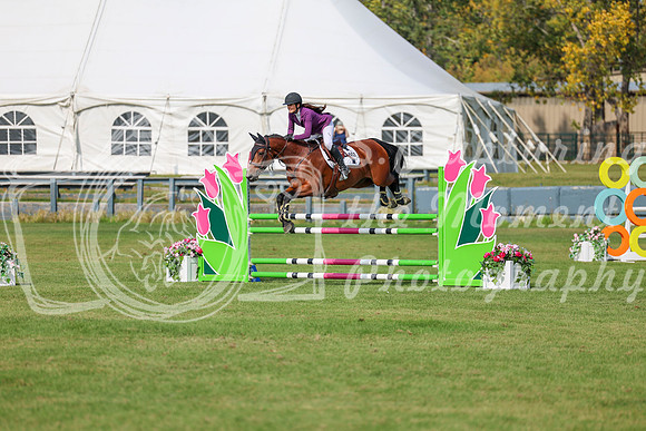 2025 - Shea - Fall Finale - Sunday September 14th - 10448