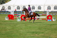 2025 - Shea - Fall Finale - Sunday September 14th - 10449