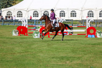 2025 - Shea - Fall Finale - Sunday September 14th - 10450