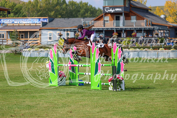 2025 - Shea - Fall Finale - Sunday September 14th - 10456