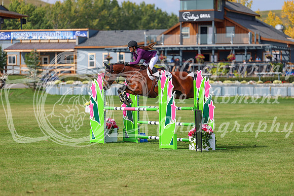 2025 - Shea - Fall Finale - Sunday September 14th - 10457