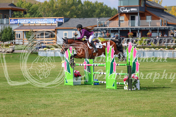 2025 - Shea - Fall Finale - Sunday September 14th - 10459