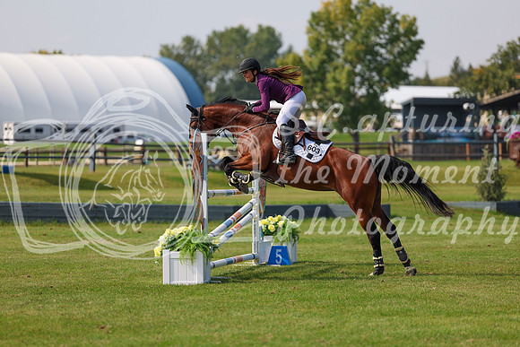 2025 - Shea - Fall Finale - Sunday September 14th - 10461
